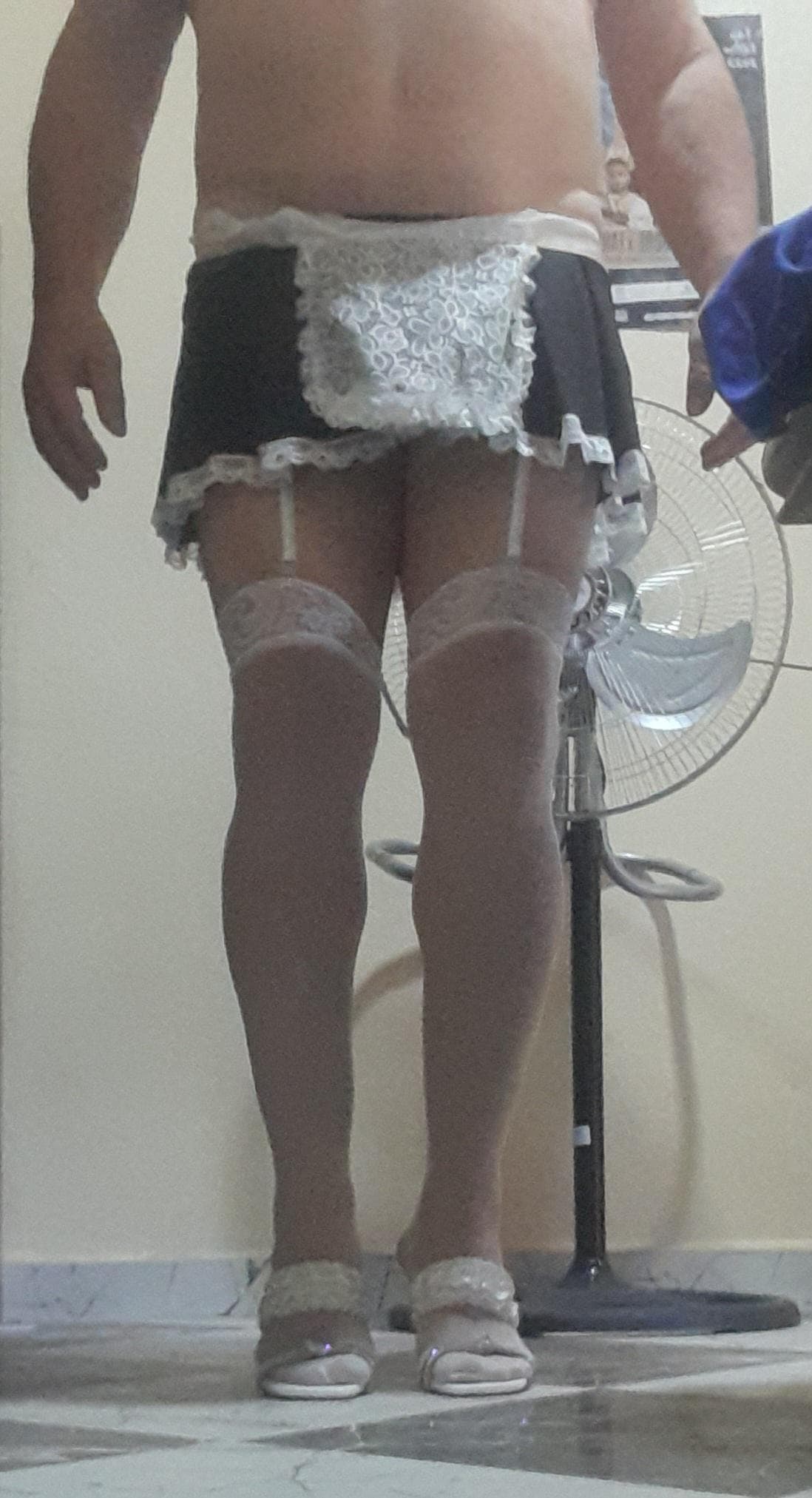 latortue2