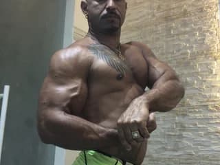 apolobrasileiro