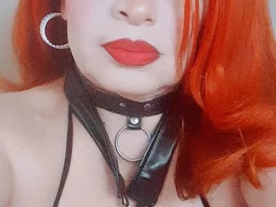 dairia_meraky