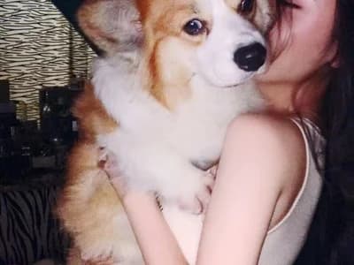 vyizh-