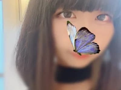 PINO_pino_01