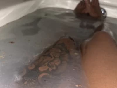 GoddessFatPuss