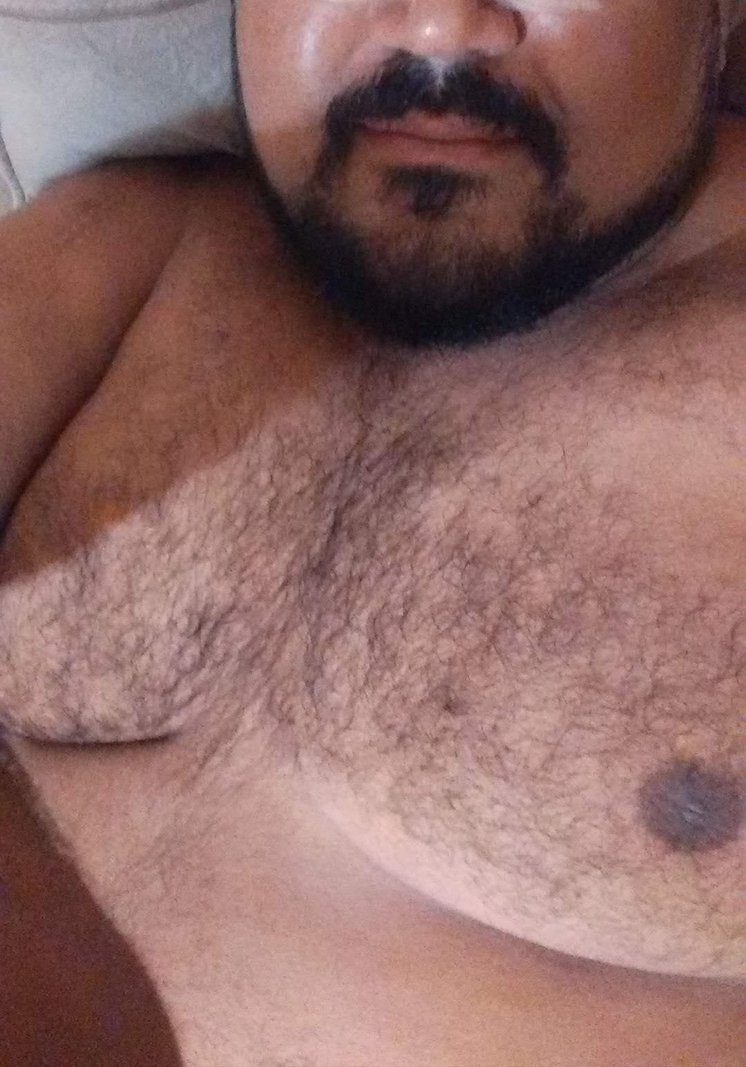urso266