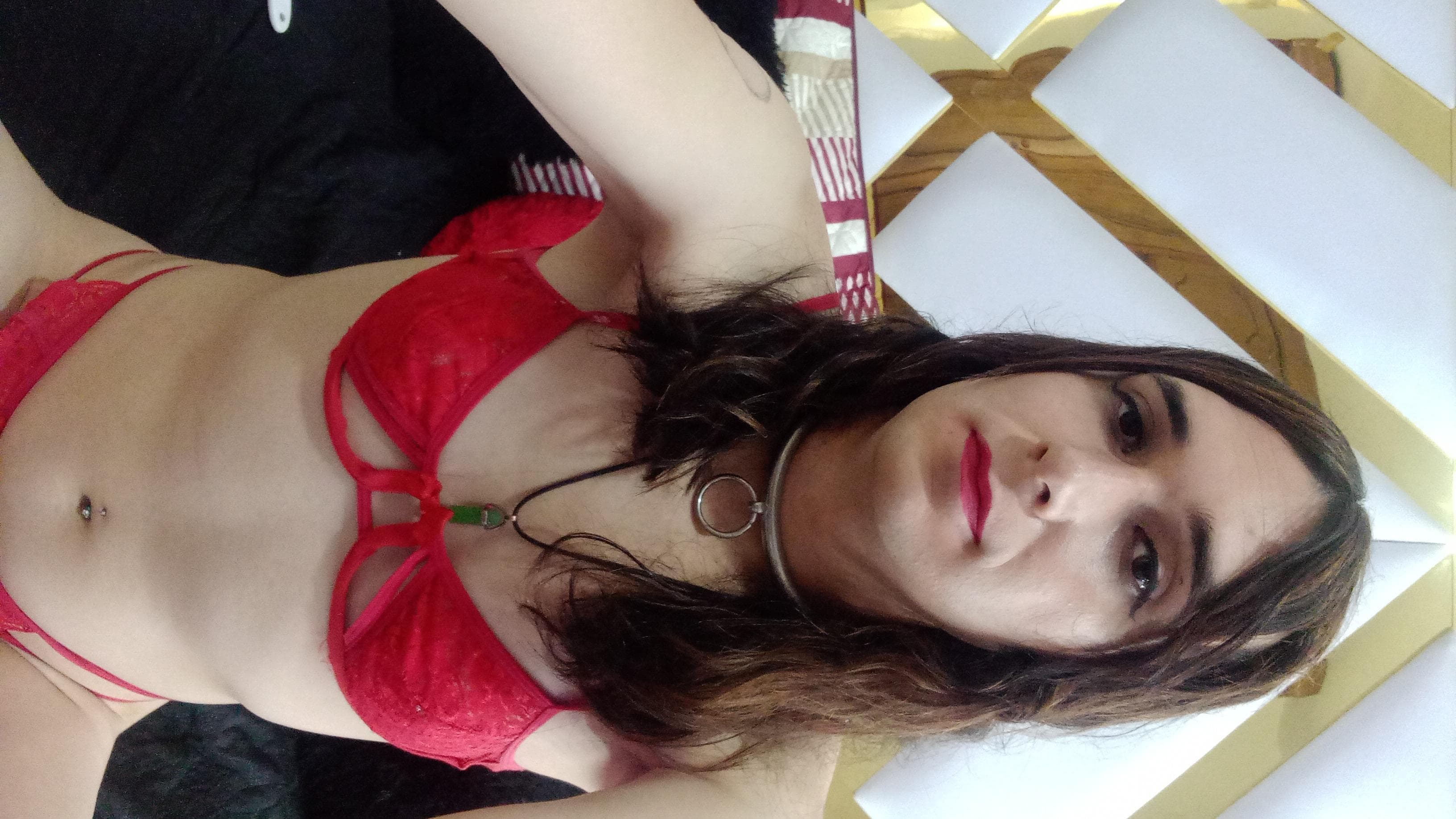 slutty_pet